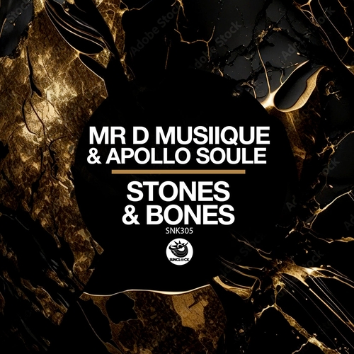 Mr D Musiique & Apollo Soule - Stones & Bones [SNK305]